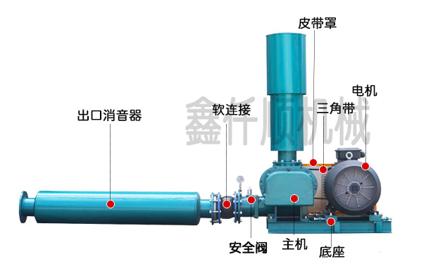羅茨午夜免费小视频安裝圖