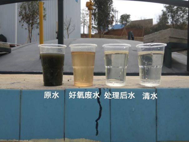 汙水曝氣羅茨鼓午夜免费小视频應用案例