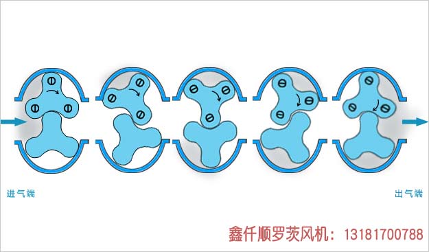 羅茨午夜免费小视频工作原理